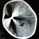 Illustration for article titled This is what happens when you try to scan a brain with a bullet in it